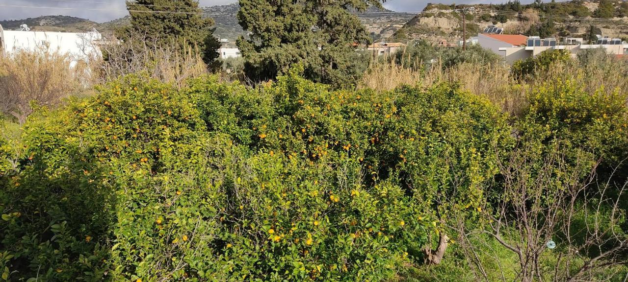 Bouvegio Vera * Αφάντου